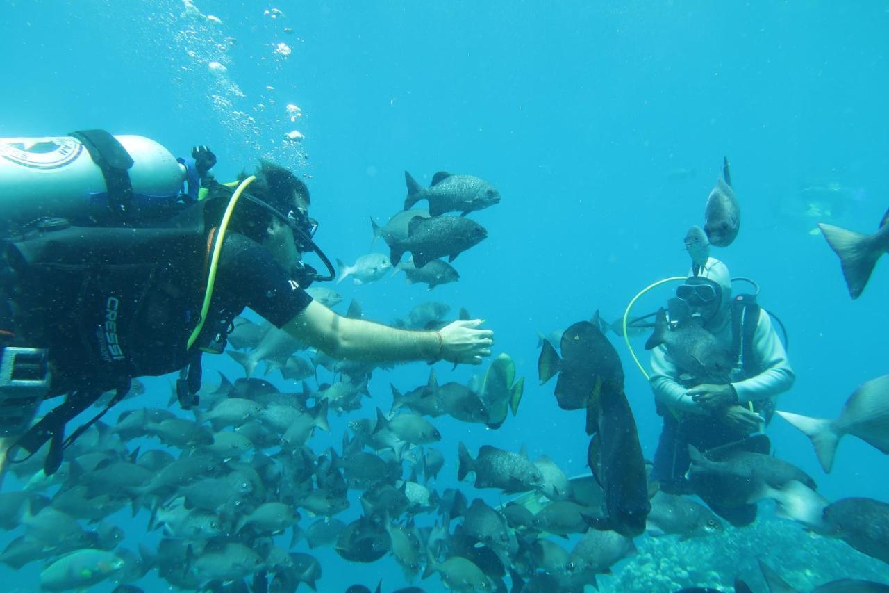 Tabari Dive Lodge Pulau Mansuar Exteriör bild